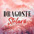 uW3cjmOWYQA-channel-avatar-Dragoste Stelară - Afili Ask 