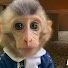TppALSKw7d0-channel-avatar-Life with Loan & Money