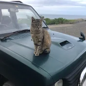 にゃんこ オムニパス