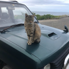 にゃんこ オムニパス