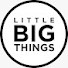 Ooy_pW5RAio-channel-avatar-LITTLE BIG THINGS and Franck Lopvet