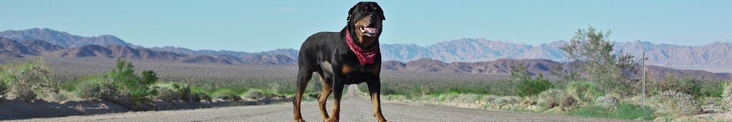 Life with Oz the Rottweiler Аватар канала YouTube