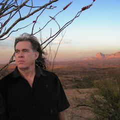 Steve Roach - Topic