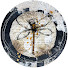 OQPh9ki8ldc-channel-avatar-49dragonflies