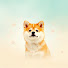 Boe0_QrLcxc-channel-avatar-维维去流浪