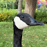 lAz-m_meQeo-channel-avatar-Yize goose