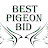  Best pigeon bid