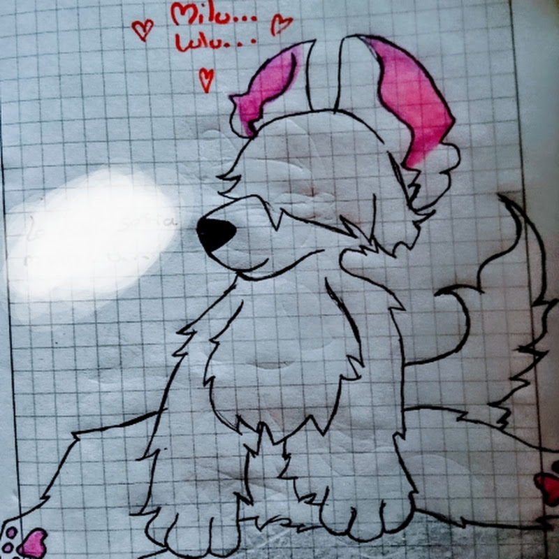 Milu_fox...♥️