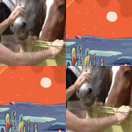 thumbnail img1x1