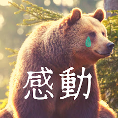 感動くま物語アイコン画像