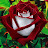 @Auntielmo