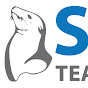 Seal Team Sysytems - Online Leak Sealing logo