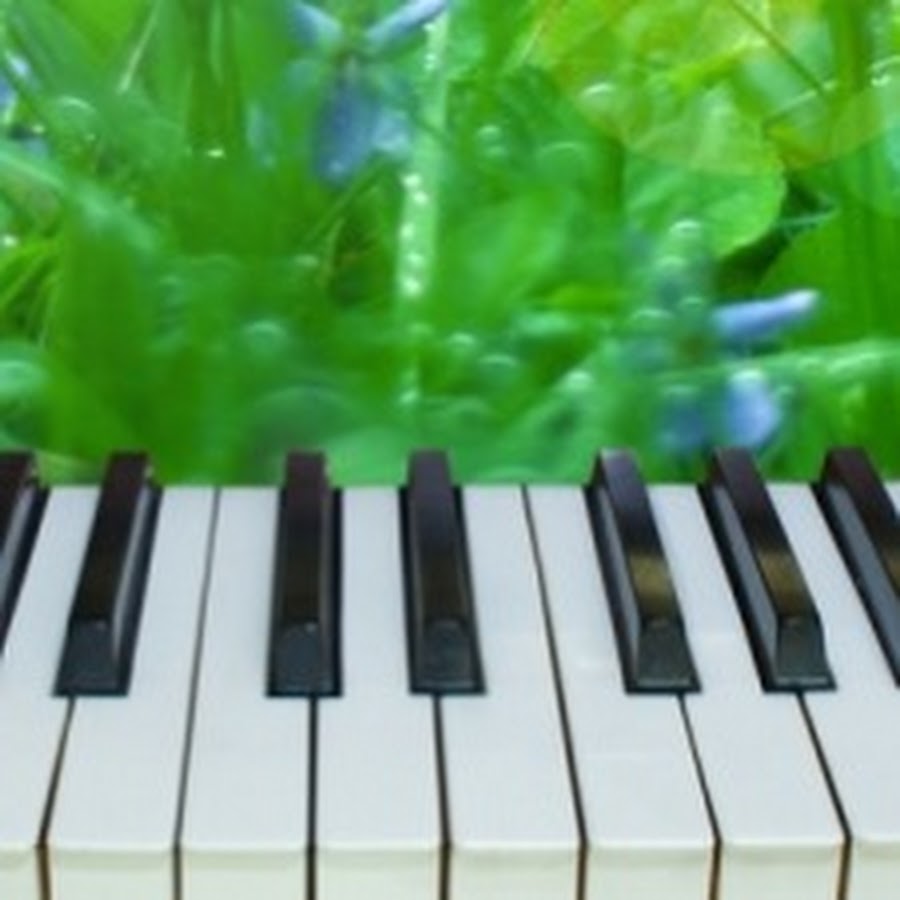 Healing Piano JAPAN - YouTube
