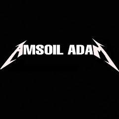 Amsoil Adam net worth