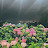 @Key-o2o9k