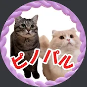 【ピノパル兄弟ニャン喜劇】