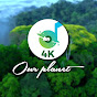 Our Planet 4K