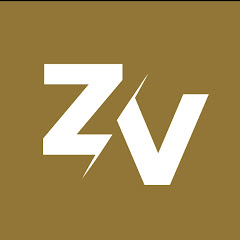 Zarebsky Vlog S.A. net worth