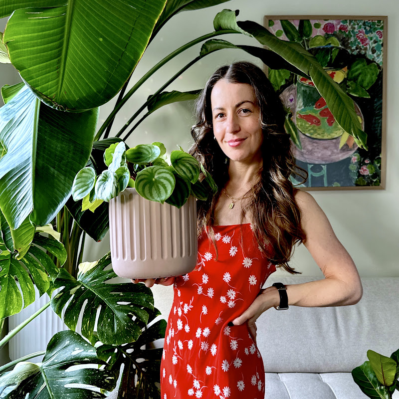 Jacintha | Pass That Plant