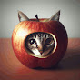 TheCatsApple logo