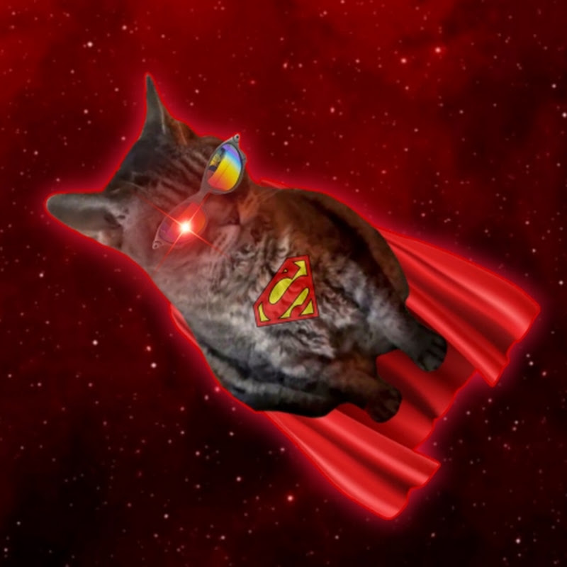 Super Gatos