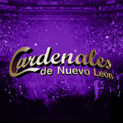 CardenalesDeNLVEVO avatar