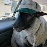 Автор