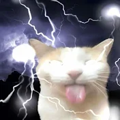 yGamer