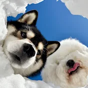 もも & おにぎりちゃんネル