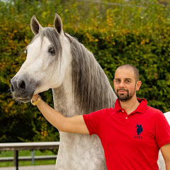 daniel volante