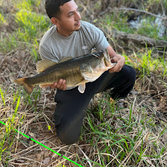 EtxReel’N