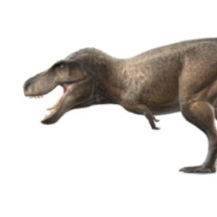 Post from Rex el T-rex pro 2.0