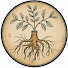 OUqKpUReINg-channel-avatar-The Honest Root and La Raíz Honesta