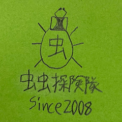 虫虫探険隊『公式』チャンネル【昆虫等生物・自然系】