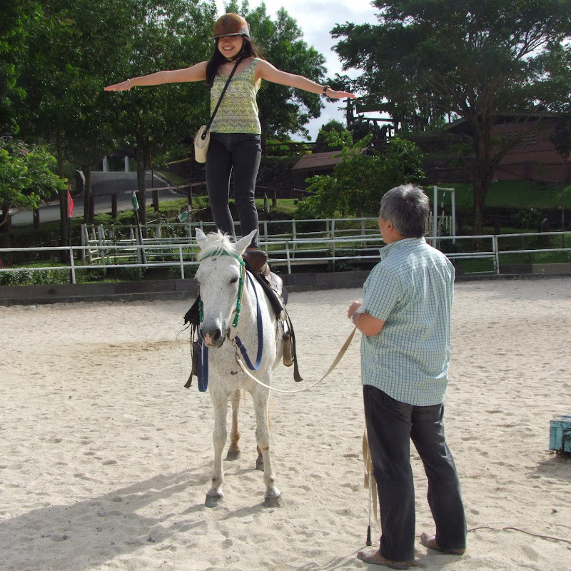 HORSE PEOPLE