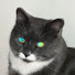 9wNYn1Mb_gQ-channel-avatar-ErnjSushi