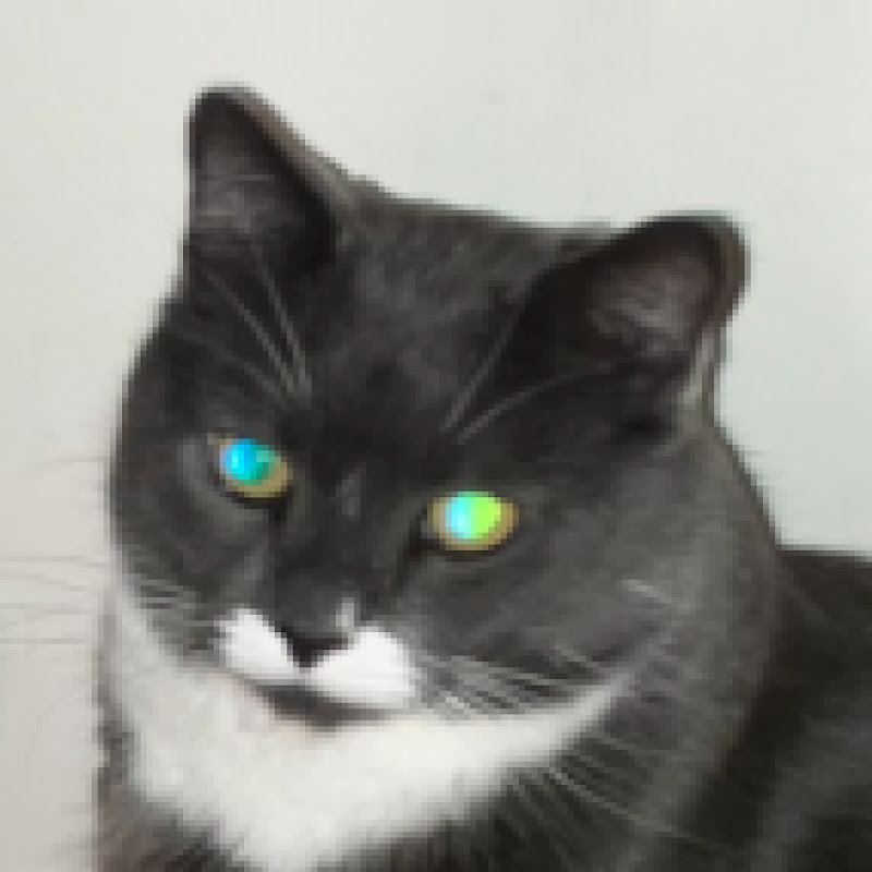 ErnjSushi