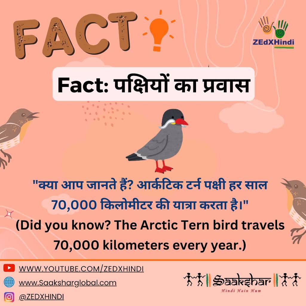 How to Conserve Birds in Hindi: Easy Steps for Everyone