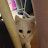 @ddinghoon2371