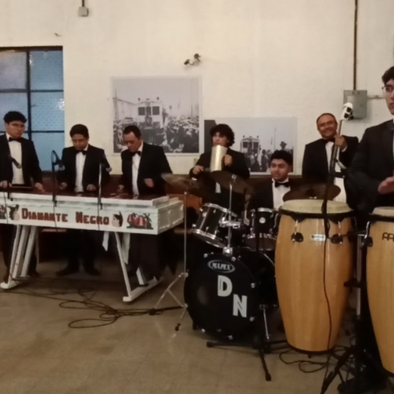 Marimba Diamante Negro. ( Ramsy Díaz)