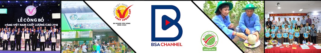 BSA Channel YouTube channel avatar