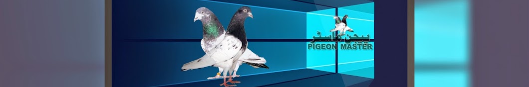 Pigeon Master Avatar channel YouTube 