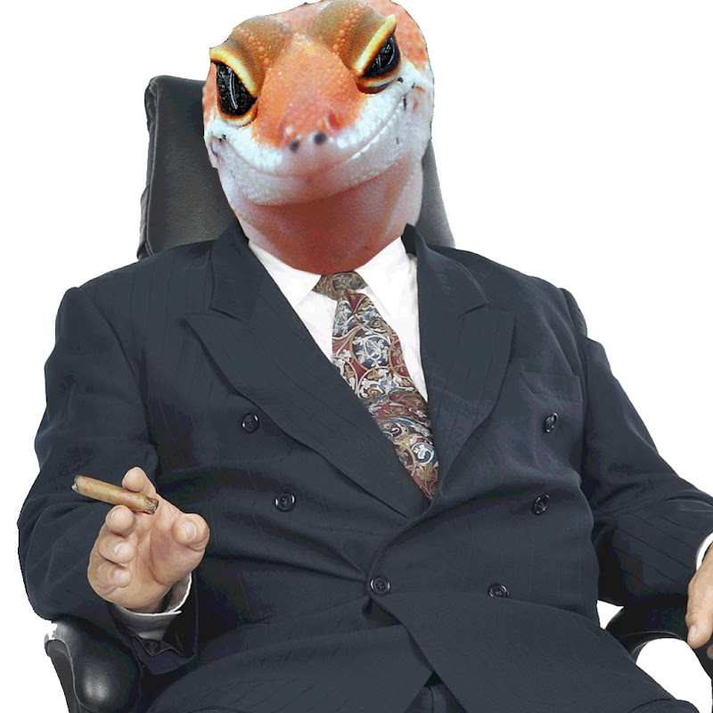 Spigazu