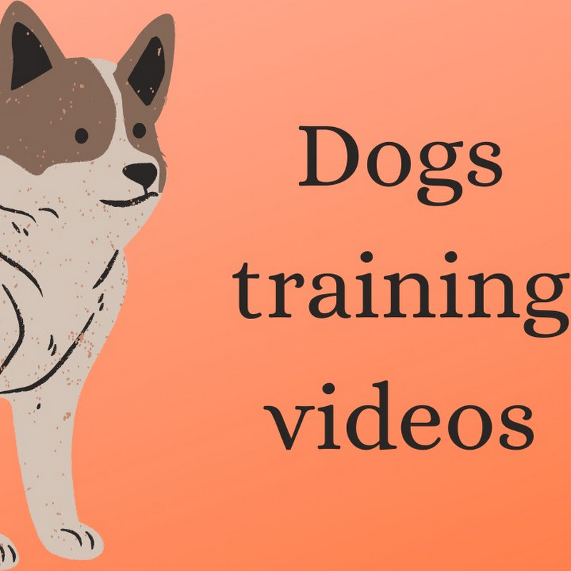 Dogs training videos