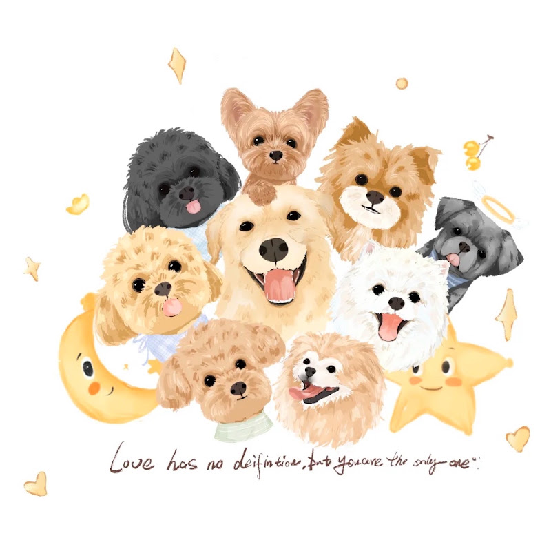 For The Animals💕
