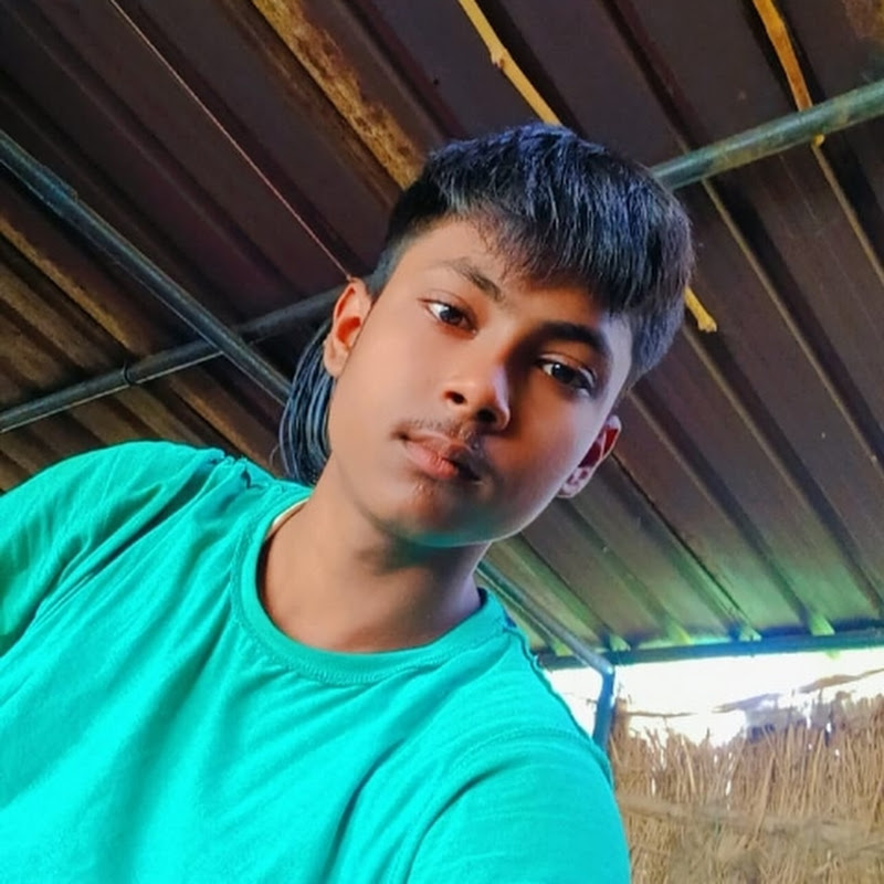 Hire Hipro99 — History & Culture YouTube creator for sponsorships