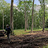 fklSgzNnAA0-channel-avatar-Diesel and Timber