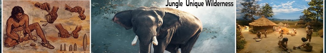 Jungle Unique Wilderness ইউটিউব চ্যানেল অ্যাভাটার