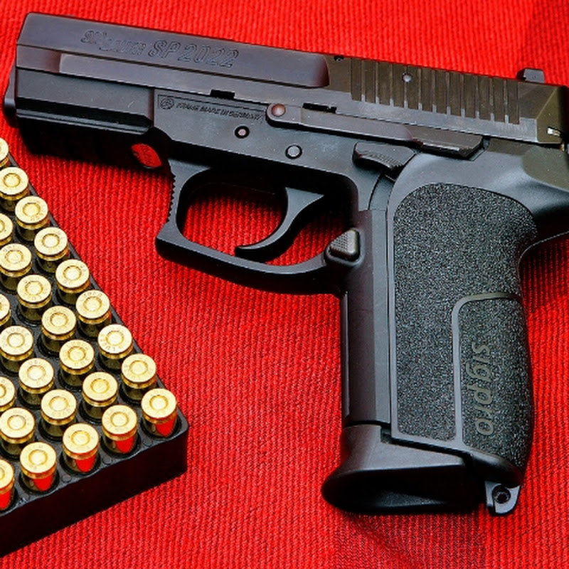 daily look guns
