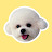 비숑몽치 Bichon Mongchi